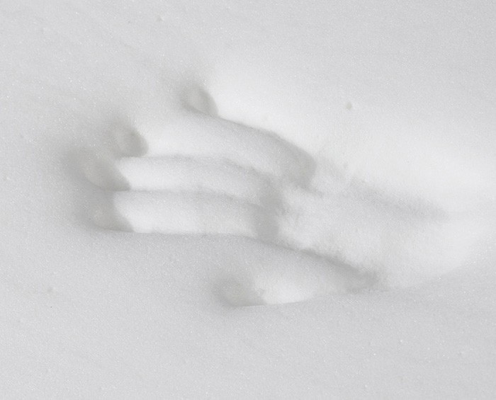 E-Ticaret Altyapısı | Güçlü ve Hazır Sistemler – SOLVES